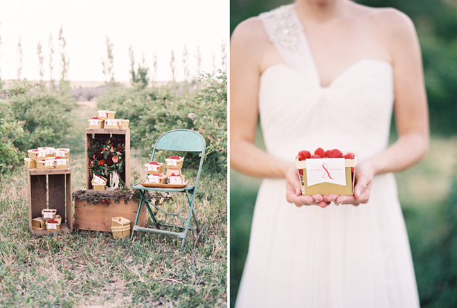 October Ink - Berry Patch Wedding - Green Apple Photography 3
